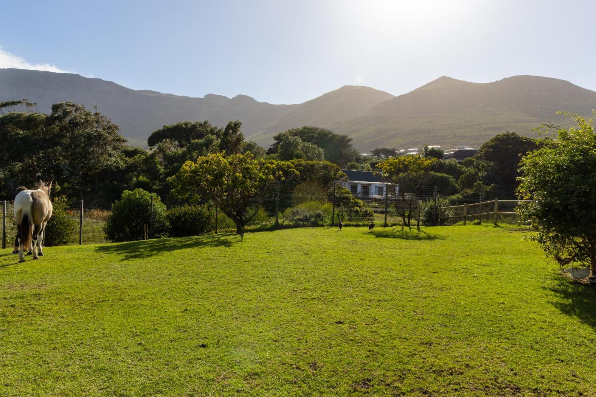 Serene, Thatched In Noordhoek, Apartamento Cidade Do Cabo