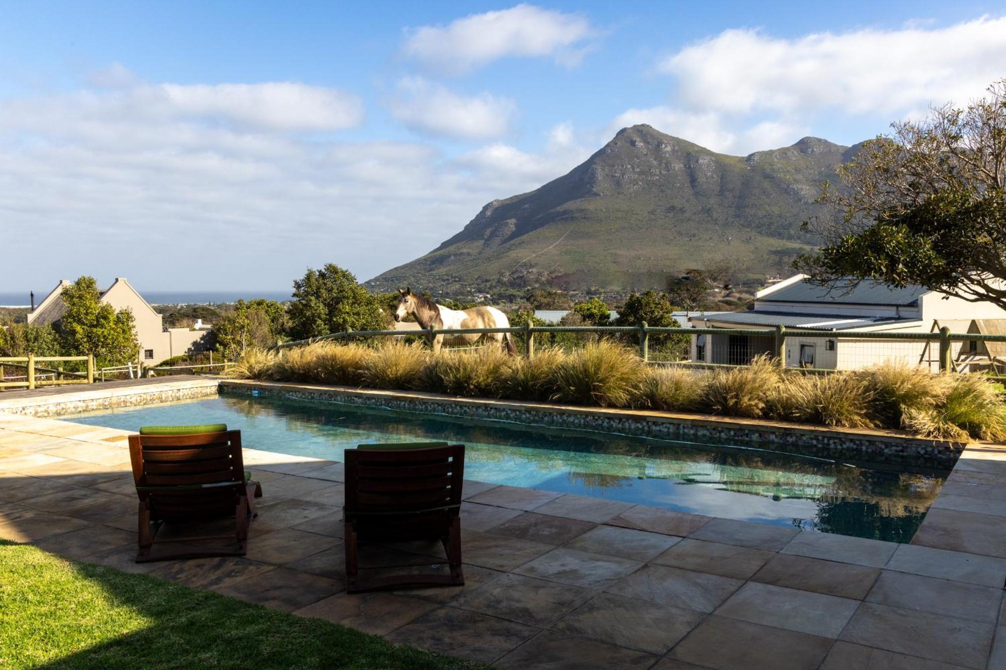 Apartamento Serene, Thatched In Noordhoek, Cidade Do Cabo